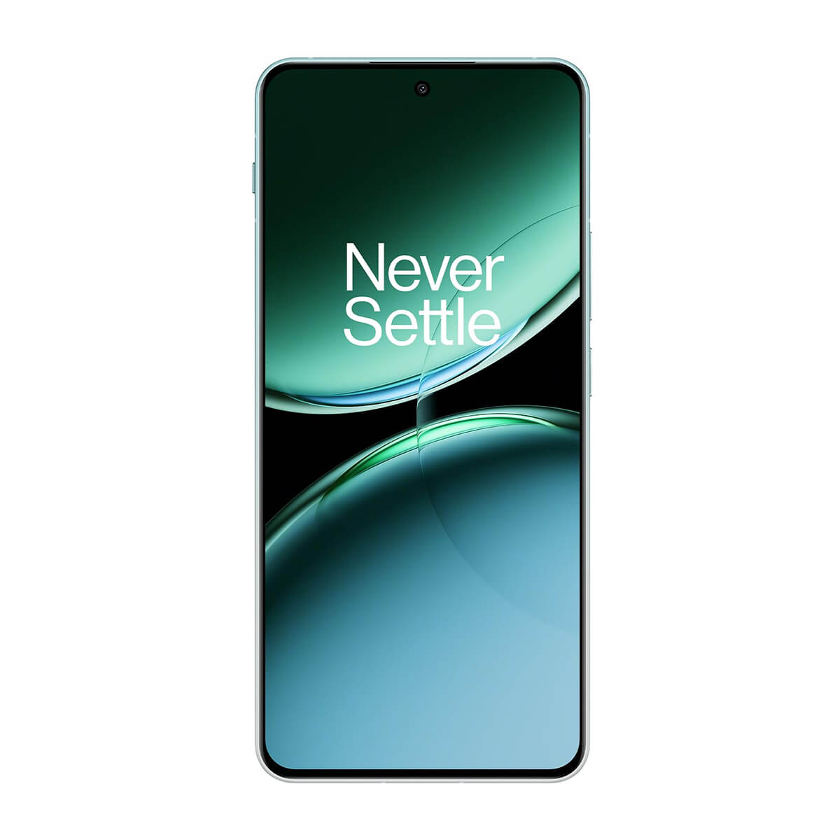 OnePlus Nord 4 (12GB RAM + 256GB Memory) - Oasis Green