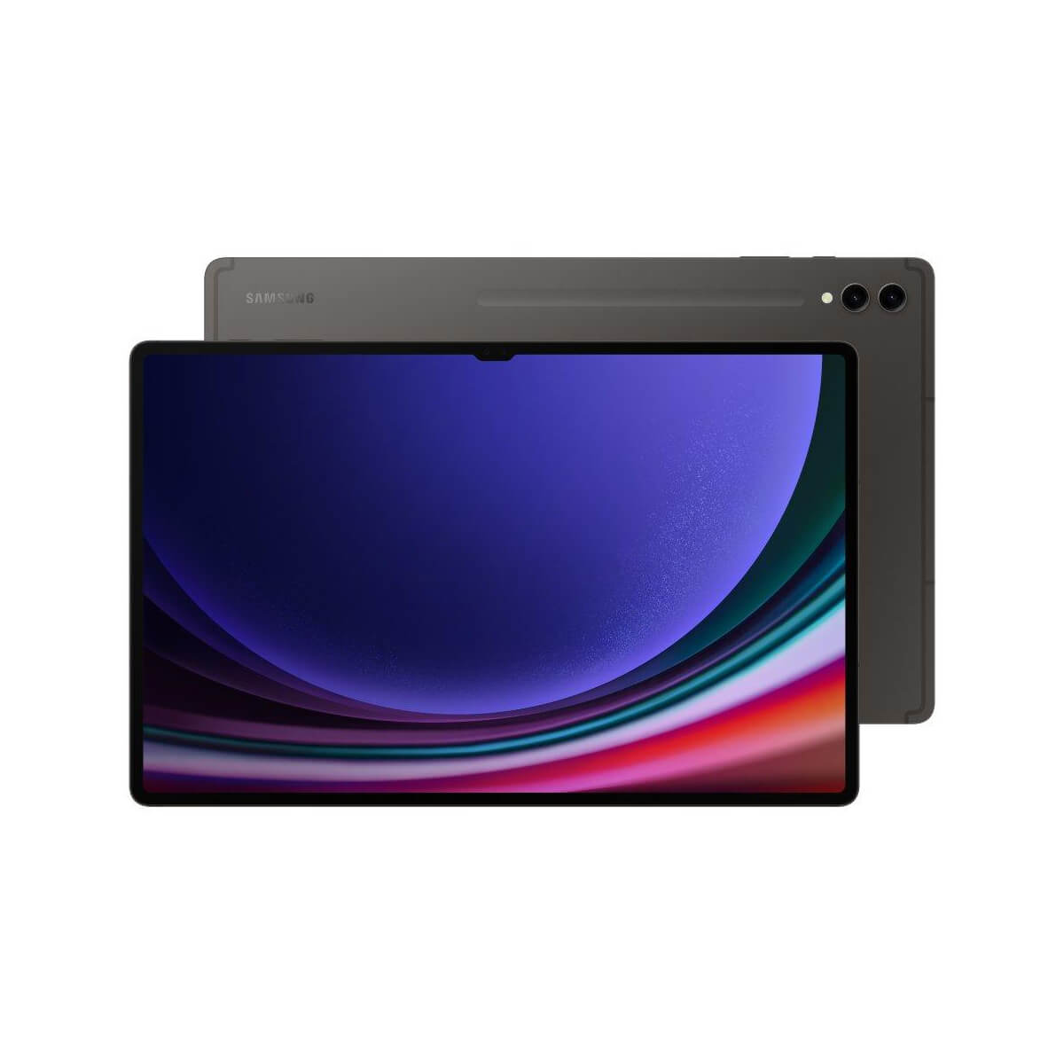 Samsung Galaxy Tab S9 Ultra 5G (12GB RAM + 256GB Memory) - Graphite